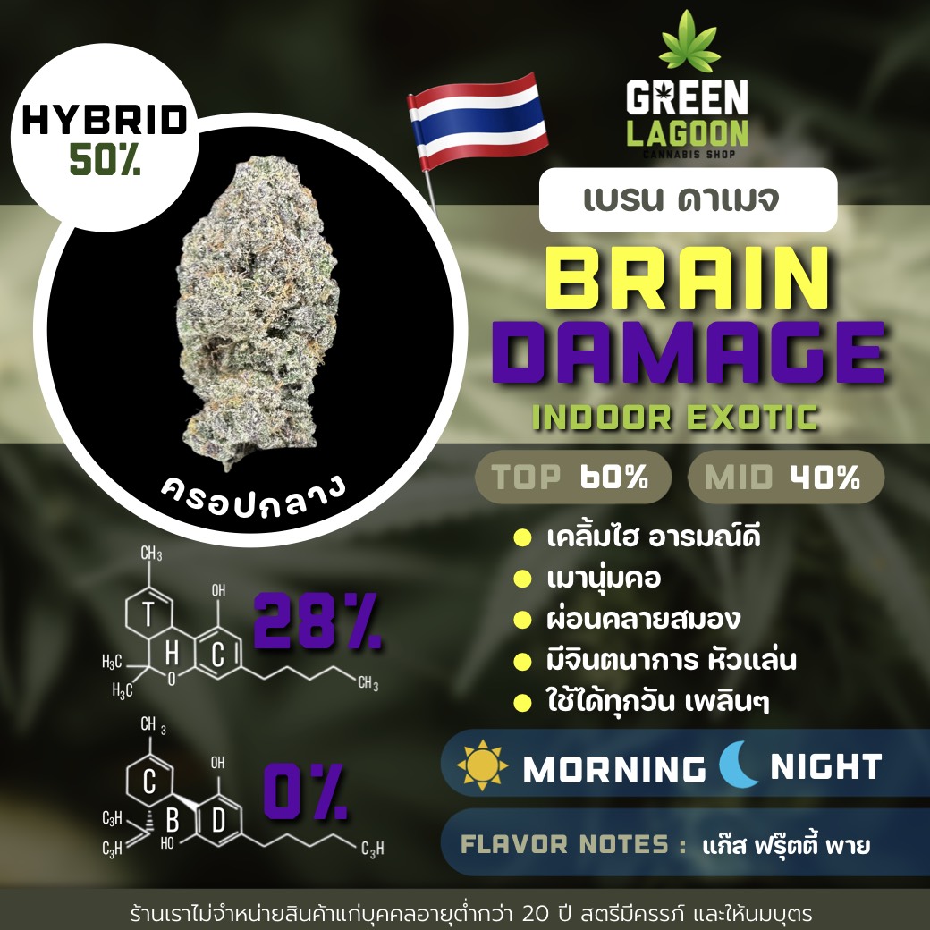 Brain damage