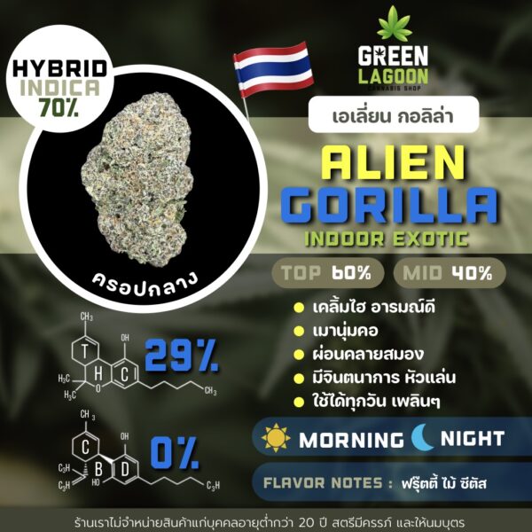Alien gorilla