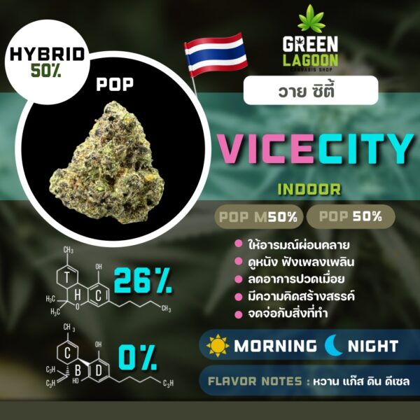 Vice city